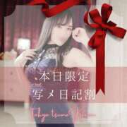 ヒメ日記 2025/04/11 07:46 投稿 かれん 東京妻next (京都グループ)