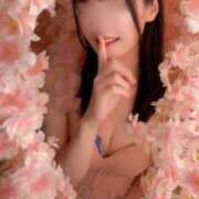 ヒメ日記 2025/04/11 19:37 投稿 かれん 東京妻next (京都グループ)