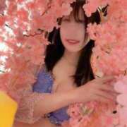 ヒメ日記 2025/08/30 17:06 投稿 かれん 東京妻next (京都グループ)