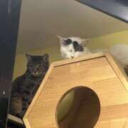 ヒメ日記 2025/03/18 19:30 投稿 ひな カラオケスナックひよこ