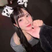 ヒメ日記 2025/02/23 09:26 投稿 れいか 東京妻next (京都グループ)