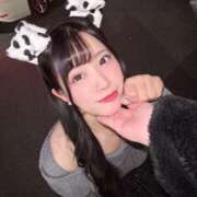 ヒメ日記 2025/03/17 23:56 投稿 れいか 東京妻next (京都グループ)