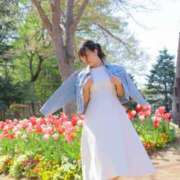 ヒメ日記 2025/03/26 17:19 投稿 れいか 東京妻next