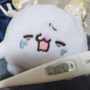 ヒメ日記 2025/04/12 08:26 投稿 れいか 東京妻next (京都グループ)