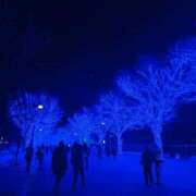 ヒメ日記 2024/12/16 20:46 投稿 やえ 東京妻next (京都グループ)