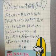 ヒメ日記 2025/02/11 13:36 投稿 やえ 東京妻next (京都グループ)