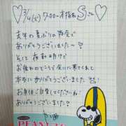 ヒメ日記 2025/03/09 17:48 投稿 やえ 東京妻next (京都グループ)