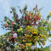 ヒメ日記 2025/03/11 22:46 投稿 やえ 東京妻next (京都グループ)