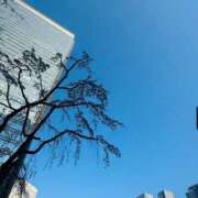 ヒメ日記 2025/03/22 13:56 投稿 やえ 東京妻next (京都グループ)