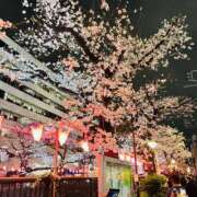 ヒメ日記 2025/04/06 01:16 投稿 やえ 東京妻next (京都グループ)