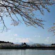 ヒメ日記 2025/04/12 20:36 投稿 やえ 東京妻next (京都グループ)