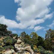 ヒメ日記 2025/04/15 11:06 投稿 やえ 東京妻next (京都グループ)