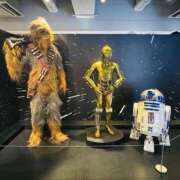 ヒメ日記 2025/05/31 17:46 投稿 やえ 東京妻next (京都グループ)