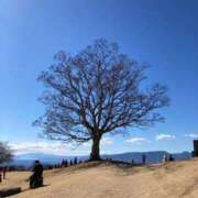 ヒメ日記 2025/05/31 23:46 投稿 やえ 東京妻next (京都グループ)