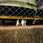 ヒメ日記 2025/06/20 20:56 投稿 やえ 東京妻next (京都グループ)