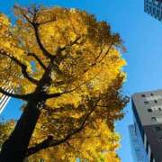 ヒメ日記 2025/07/12 16:56 投稿 やえ 東京妻next (京都グループ)