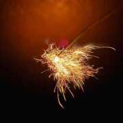 ヒメ日記 2025/07/21 13:56 投稿 やえ 東京妻next (京都グループ)