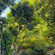 ヒメ日記 2025/07/21 20:51 投稿 やえ 東京妻next (京都グループ)