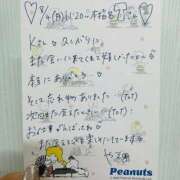 ヒメ日記 2025/08/09 13:46 投稿 やえ 東京妻next (京都グループ)