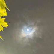 ヒメ日記 2025/10/06 21:28 投稿 やえ 東京妻next (京都グループ)