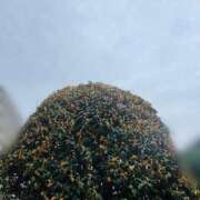 ヒメ日記 2025/10/19 19:26 投稿 やえ 東京妻next (京都グループ)