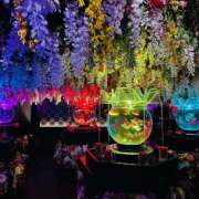 ヒメ日記 2025/11/01 22:46 投稿 やえ 東京妻next (京都グループ)