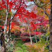 ヒメ日記 2026/02/19 17:26 投稿 やえ 東京妻next