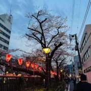 ヒメ日記 2026/03/25 23:16 投稿 やえ 東京妻next