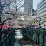 ヒメ日記 2026/04/04 07:16 投稿 やえ 東京妻next