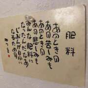 ヒメ日記 2026/07/12 00:26 投稿 やえ 東京妻next