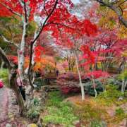 ヒメ日記 2026/09/13 01:36 投稿 やえ 東京妻next