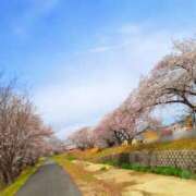 ヒメ日記 2025/04/05 08:11 投稿 のあ 三重四日市ちゃんこ