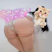 ヒメ日記 2025/05/02 12:52 投稿 のあ 三重四日市ちゃんこ