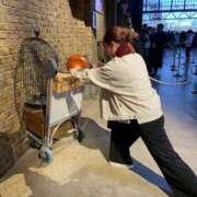 ヒメ日記 2026/01/15 23:31 投稿 さき 横浜人妻ヒットパレード（シンデレラグループ）