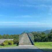 ヒメ日記 2026/01/01 08:50 投稿 川口さき 大人めシンデレラ 新横浜店（シンデレラグループ）