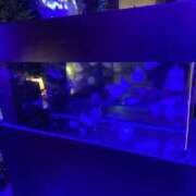 ヒメ日記 2026/01/30 22:15 投稿 川口さき 大人めシンデレラ 新横浜店（シンデレラグループ）