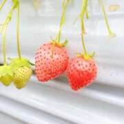 ヒメ日記 2026/02/08 17:11 投稿 川口さき 大人めシンデレラ 新横浜店（シンデレラグループ）