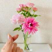 ヒメ日記 2026/03/05 12:51 投稿 川口さき 大人めシンデレラ 新横浜店（シンデレラグループ）