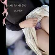 ヒメ日記 2025/05/07 07:01 投稿 きょうかさん いけない奥さん 梅田店