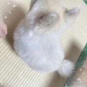 ヒメ日記 2025/09/14 17:50 投稿 きょうかさん いけない奥さん 梅田店