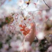 ヒメ日記 2026/03/27 12:31 投稿 めぐ Я’s SPEC2