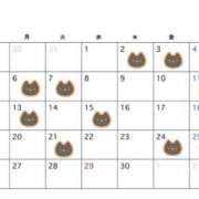 ヒメ日記 2026/03/30 11:56 投稿 めぐ Я’s SPEC2