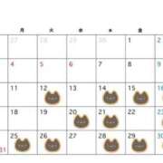 ヒメ日記 2026/05/11 13:59 投稿 めぐ Я’s SPEC2