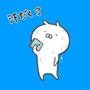 ヒメ日記 2026/08/26 09:11 投稿 めぐ Я’s SPEC2