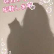 ヒメ日記 2026/09/08 17:11 投稿 めぐ Я’s SPEC2