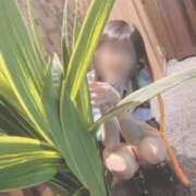 ヒメ日記 2025/09/08 14:09 投稿 くう ラブコレ