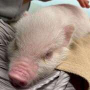 ヒメ日記 2025/06/14 15:44 投稿 なお 濃厚即19妻