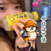 ヒメ日記 2025/10/27 17:39 投稿 なお 濃厚即19妻