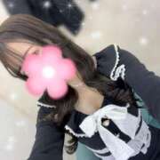 ヒメ日記 2025/03/11 20:28 投稿 みやび CECIL