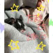 ヒメ日記 2025/03/31 07:01 投稿 みやび CECIL